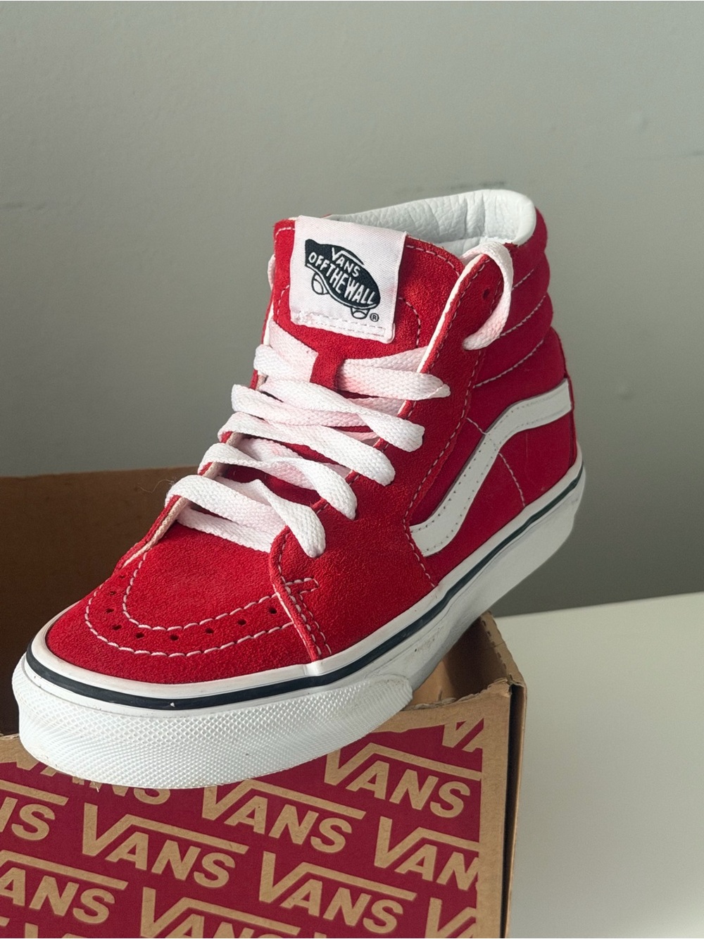 Vans White Low-Top Skate Sneaker